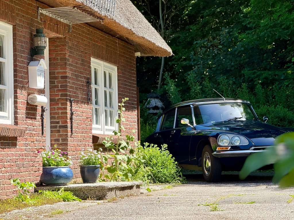 Immobilie in Bordelum - Ihr Traum vom Reetdachhaus – Ruhig gelegen und nur wenige Minuten von der Nordsee entfernt - Bild 4