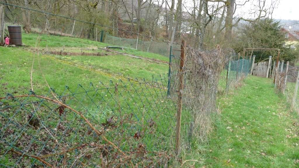 Immobilie in Reichweiler - Platz für 2 Familien!!! - Bild 3