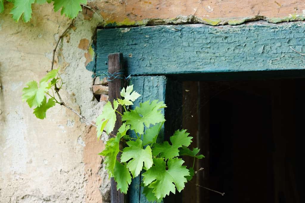 Immobilie in Freyburg (Unstrut) - Atelier / Wochenendhaus mit Pool - im Weinberg am Südhang  🏖️ - Bild 4