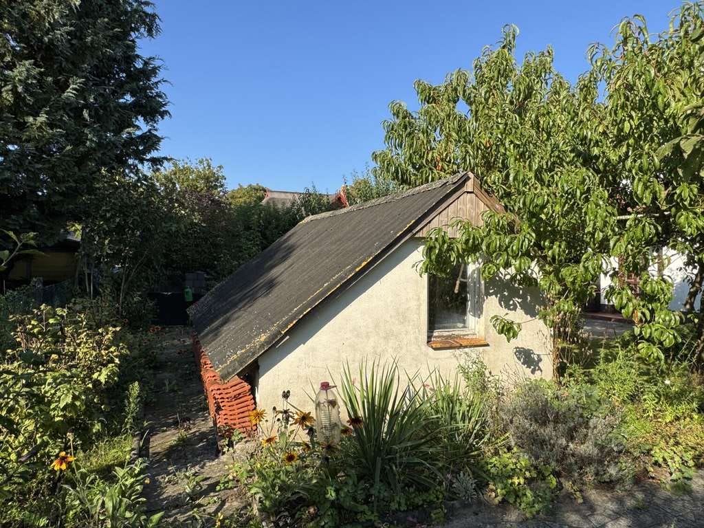 Immobilie in Mesekenhagen - Großzügiges Einfamilienhaus mit Doppelcarport und Obstgarten - Bild 3