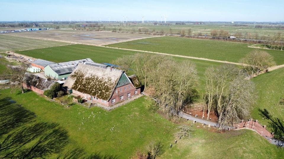 Immobilie in Wewelsfleth - Landwirtschaftlicher Betrieb mit ca. 35 ha hochwertigem Marschboden - Bild 0