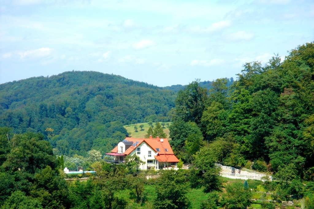 Immobilie in Seeheim-Jugenheim - Außergewöhnliche tolle Lage EFH - Naturnah FFM/HD/MA excpetional location close to Frankfurt - Bild 1