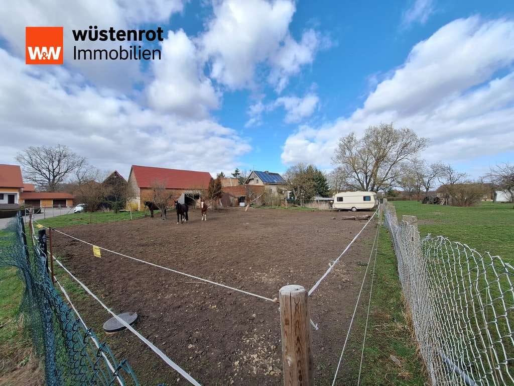 Immobilie in Kemberg - Einfamilienhaus in Rackith. Viel Platz für Familie, Garten, Tierhaltung & individuelle Gestaltung - Bild 2