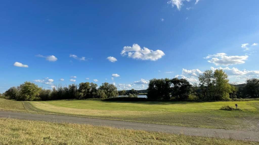 Immobilie in Amt Neuhaus - Elbtalaue: Gepflegter Resthof in direkter Deichlage mit Elbblick - Bild 3
