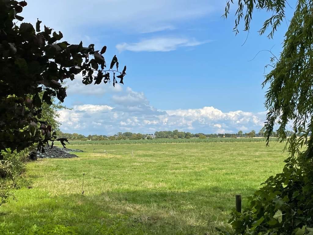 Immobilie in Welt - Haubarg Kornhof - Bild 1