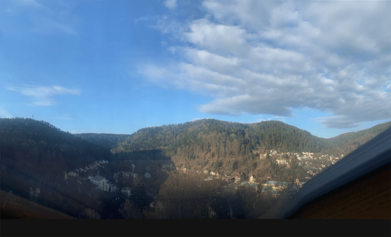 Immobilie in Bad Liebenzell - Wohnen, wo andere Urlaub machen – großzügige 1,5-Zimmerwohnung mit Balkon - Bild 3
