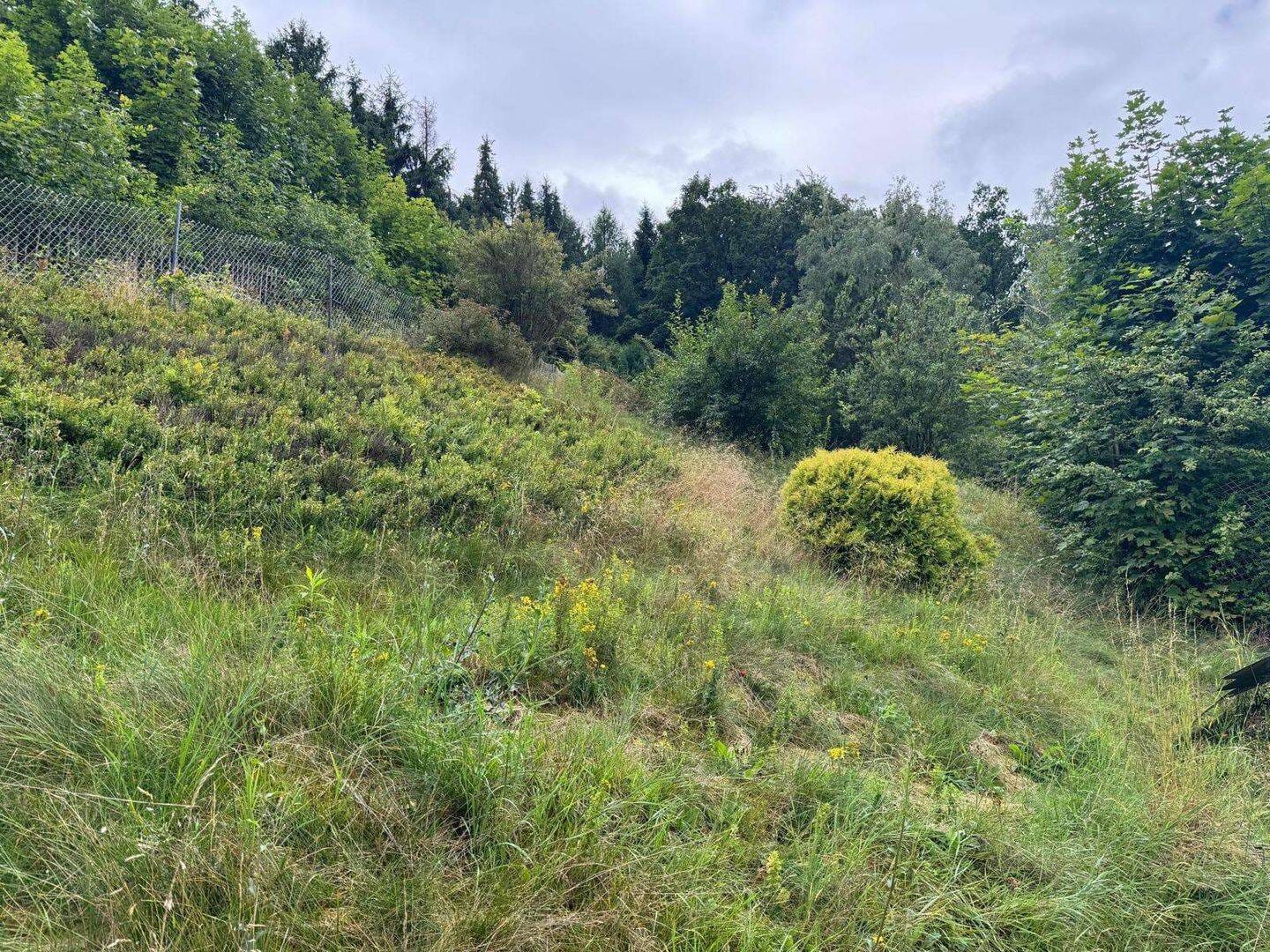 Immobilie in Burkhardtsdorf - Gemütliches Einfamilienhaus in Burkhardtsdorf! - Bild 3