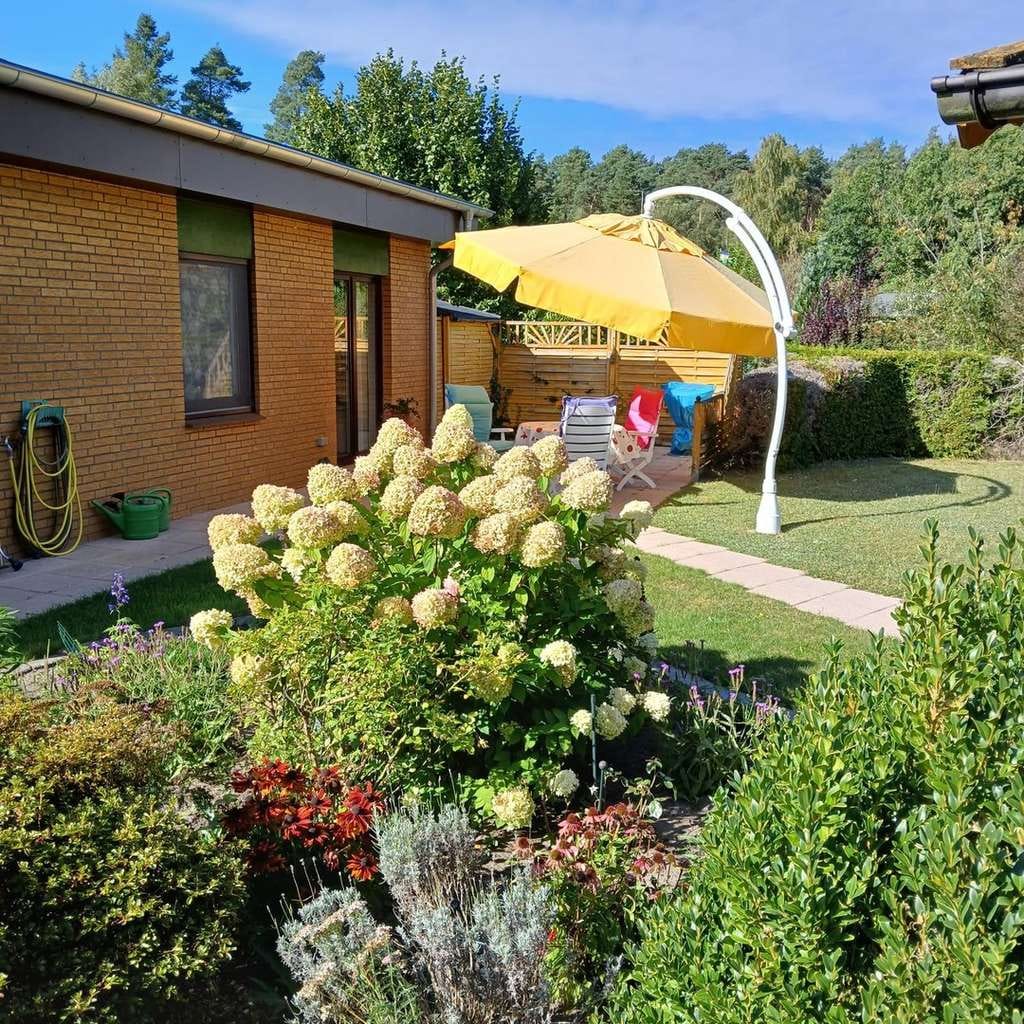 Immobilie in Zernien - Barrierefreier Bungalow in gepflegter Gartenanlage - Bild 0