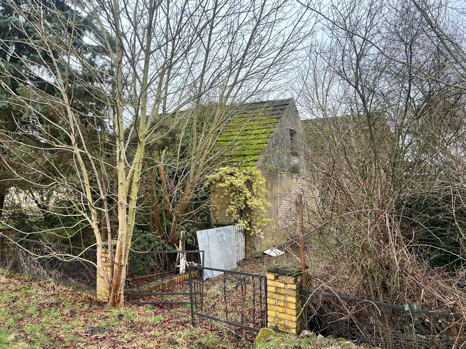Immobilie in Löwenberger Land - Abrisshaus mit Scheune - Bild 1