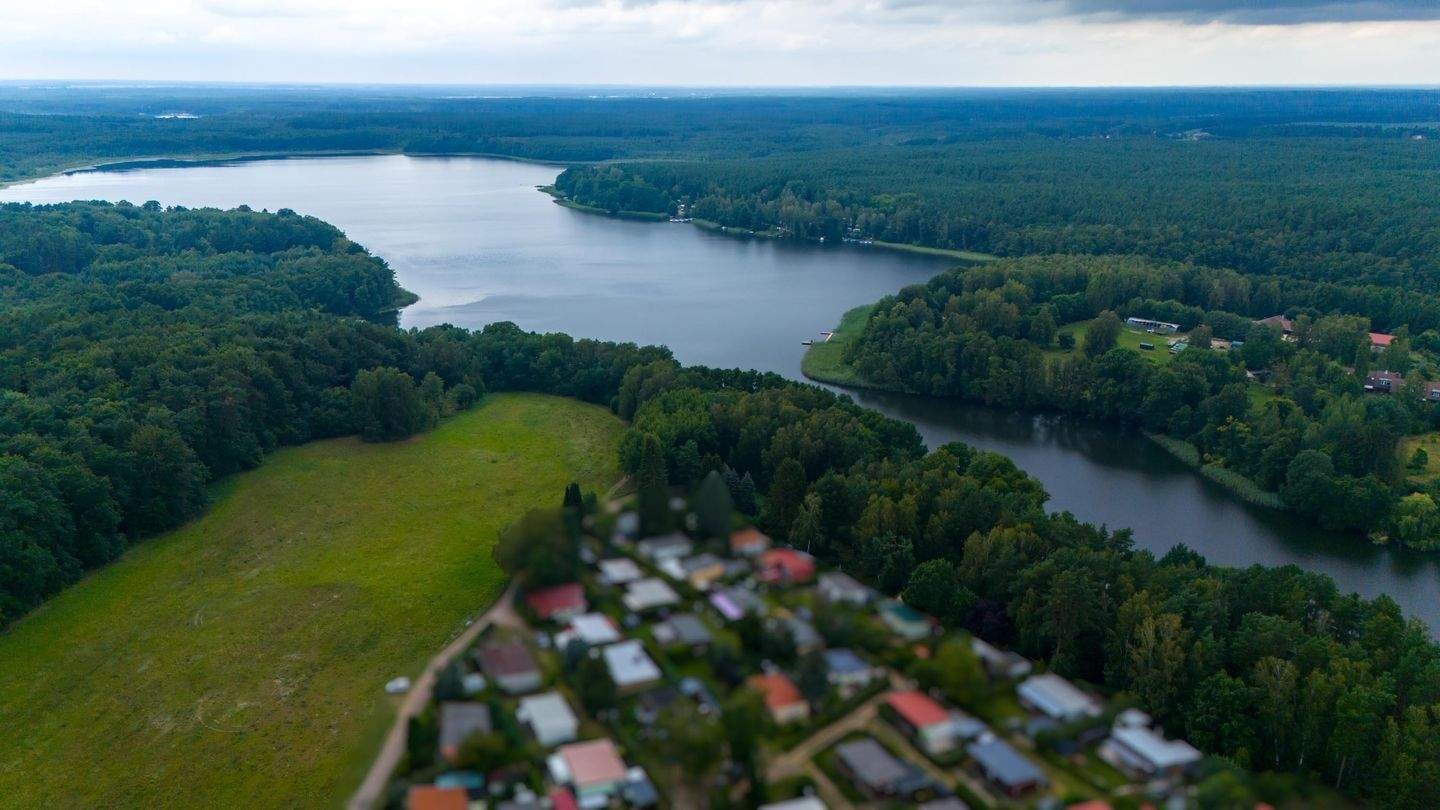 Immobilie in Wustrow - Eigentumsland & Wasserzugang: Zwei Ferienbungalows in purer Natur - Bild 3