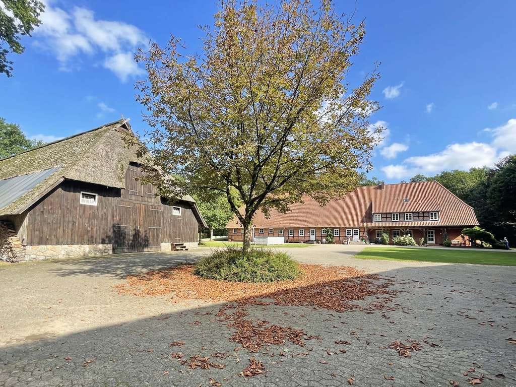 Immobilie in Undeloh - Romantisches Fachwerk-Anwesen - Bild 3