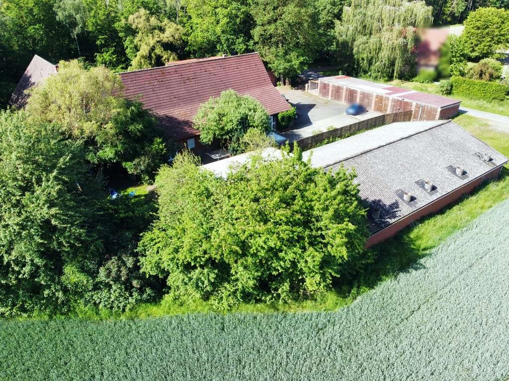 Immobilie in Greven - Resthof zum Wohnen, Arbeiten, Vermieten und vieles mehr! - Bild 3