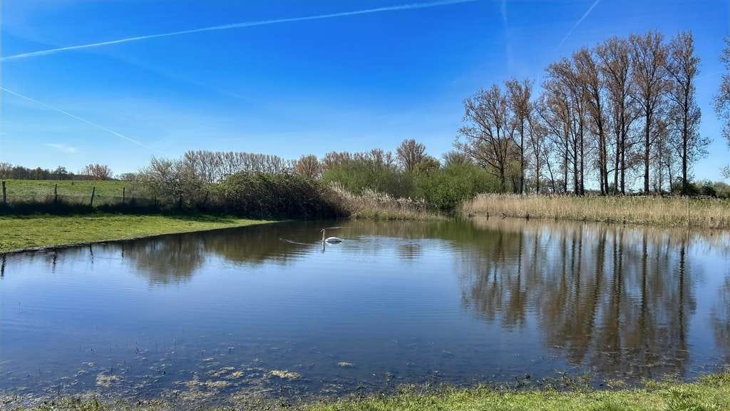 Immobilie in Dassow - Natur- und Wasseridylle mit Potenzial - Bild 2
