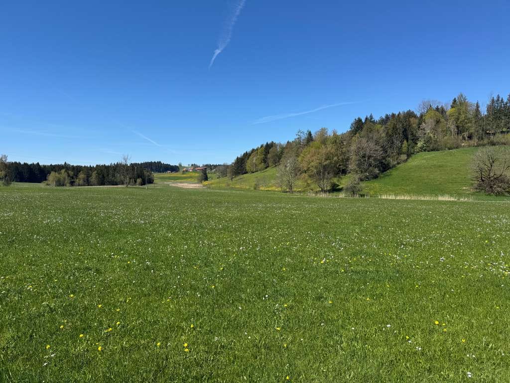 Immobilie in Maierhöfen - Naturnah leben im schönen Westallgäu - Bild 2