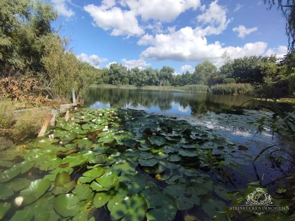 Immobilie in Weißwasser/O.L. - Běła Woda - Mehrfamilienhaus mit Privaten Seezugang - Bild 4