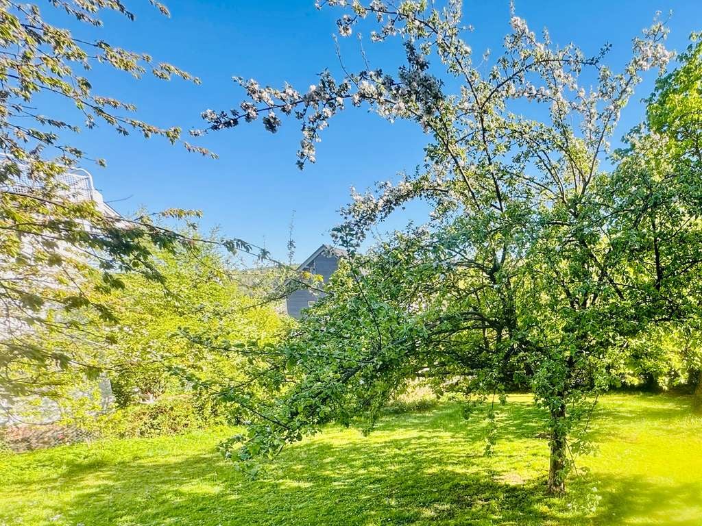 Immobilie in Schlüchtern - Einfamilienhaus mit potentiellem Baugrundstück! - Bild 4