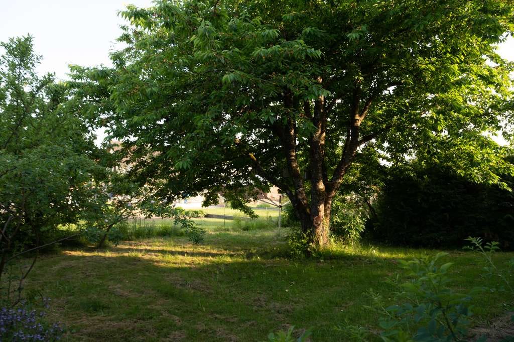 Immobilie in Fahrenbach - *provisionsfrei*Naturholzhaus mit Sauna und großem Garten - Bild 2