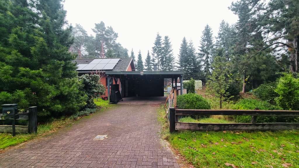 Immobilie in Armstorf - Freistehendes Einfamilienhaus mit großem Naturgrundstück in am Waldrand - Bild 4