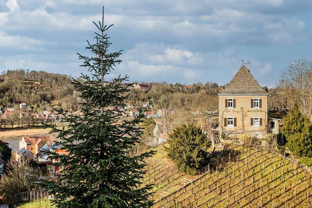 Immobilie in Meißen - Zweifamilienhaus mit Einliegerwohnung in gehobener Wohnlage von Meißen - Bild 1