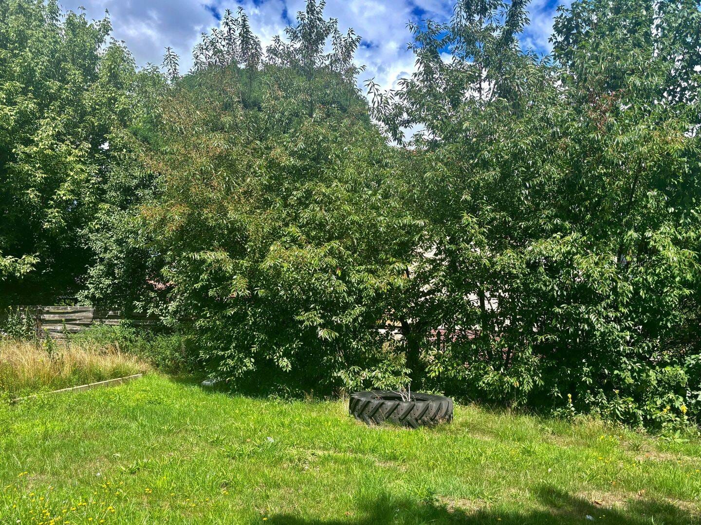 Immobilie in Adelheidsdorf - !!!ZWEIFAMILENHAUS IN BEVORZUGTER WOHNLAGE!!!! - Bild 2