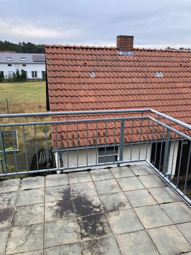 Immobilie in Leiferde - Charmantes Einfamilienhaus mit Nebengebäude in Leiferde – Ihr neues Zuhause! - Bild 4