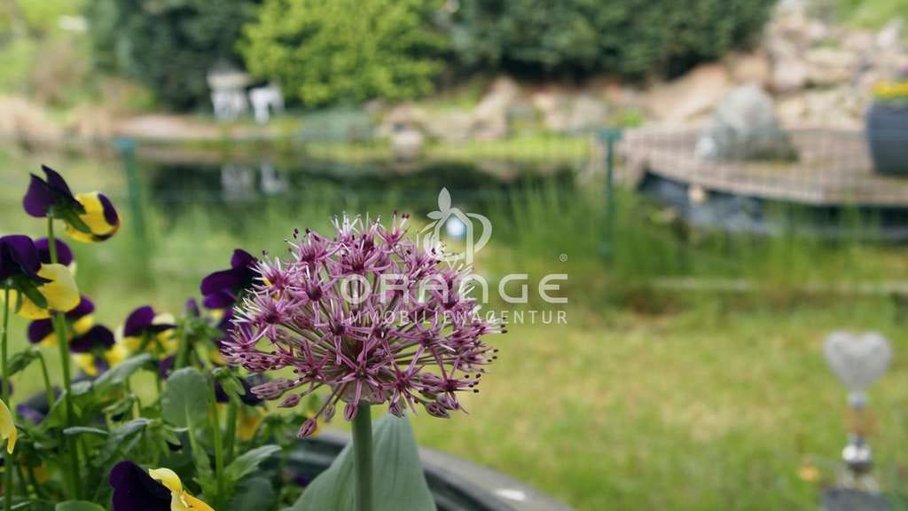 Immobilie in Tensfeld - ***Haus mit zwei Wohneinheiten, großem Garten, Teich und vielen Extras*** - Bild 0