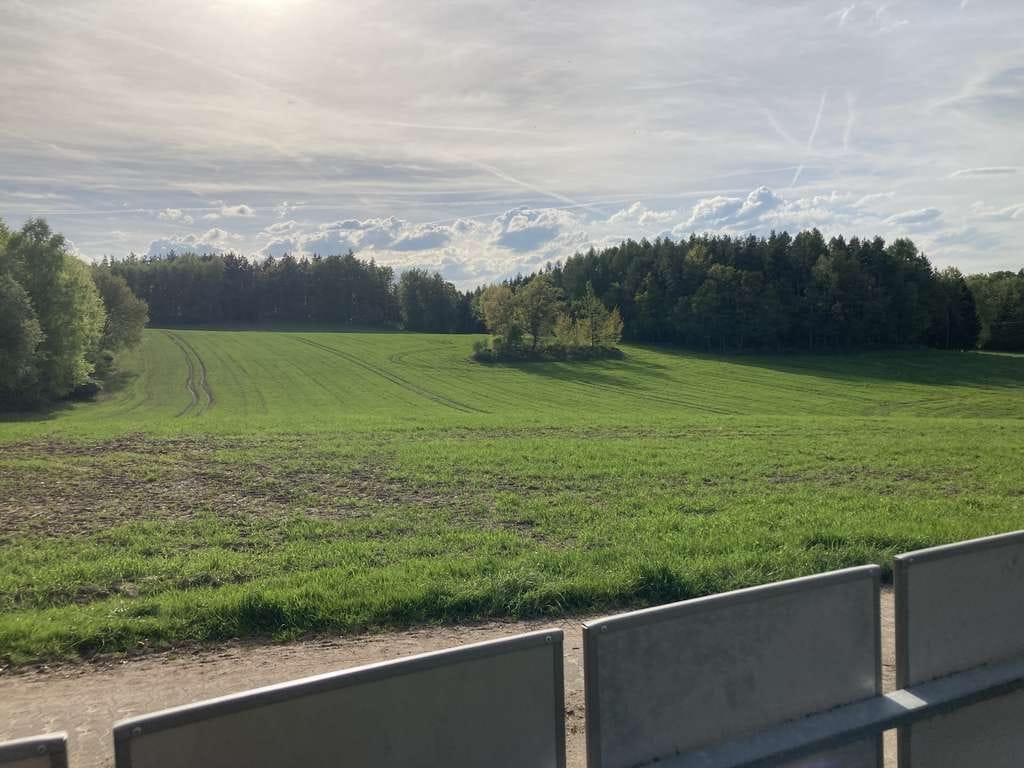 Immobilie in Crinitzberg - Finnhütte in Crinitzberg - Bild 2