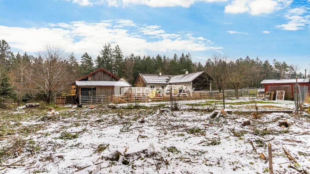 Immobilie in Prackenbach - Vielseitiges Bauernhaus mit bis zu 4 Einheiten, Offenstall und Pferdeboxen – ideal für Hundehalter - Bild 4