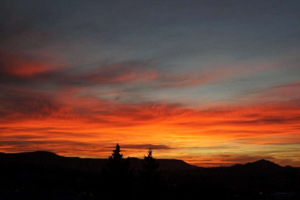 Immobilie in Eningen unter Achalm - Terrassenhaus/Wohnung in Eningen - Bild 1