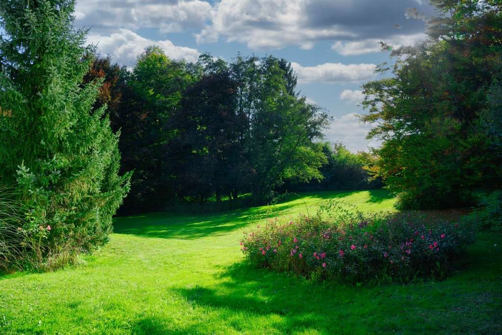 Immobilie in Petersdorf - „Viel Raum zum Leben: 400 m² Wohnfläche auf herrlichem Parkgrundstück – provisionsfrei“ - Bild 4