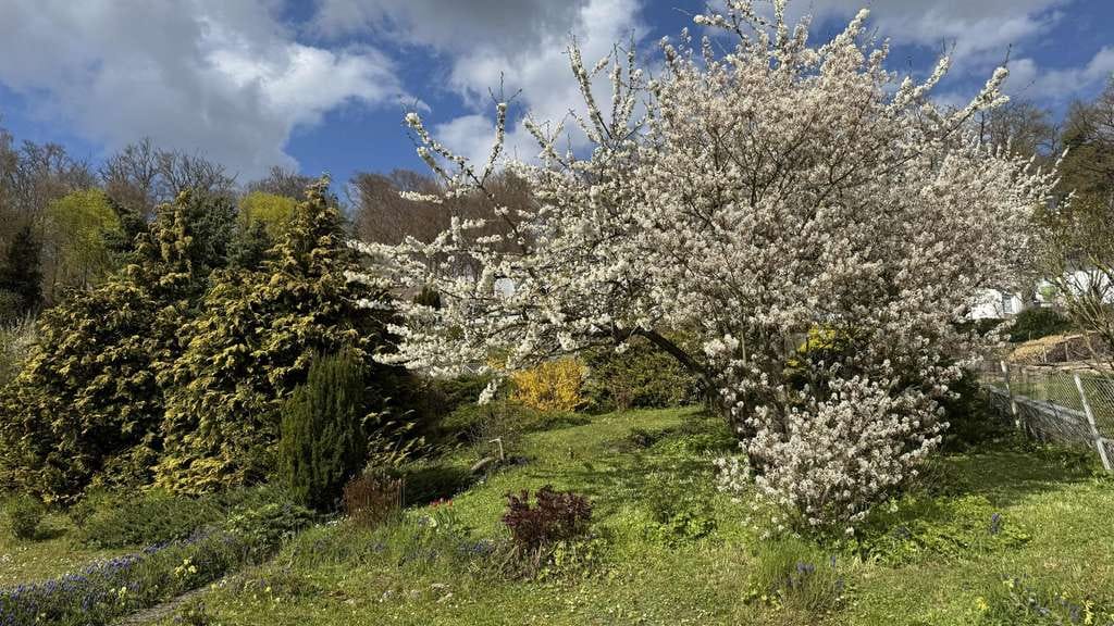 Immobilie in Einbeck - Ihr neues Zuhause mit Weitblick und Gartenparadies
 - Bild 2