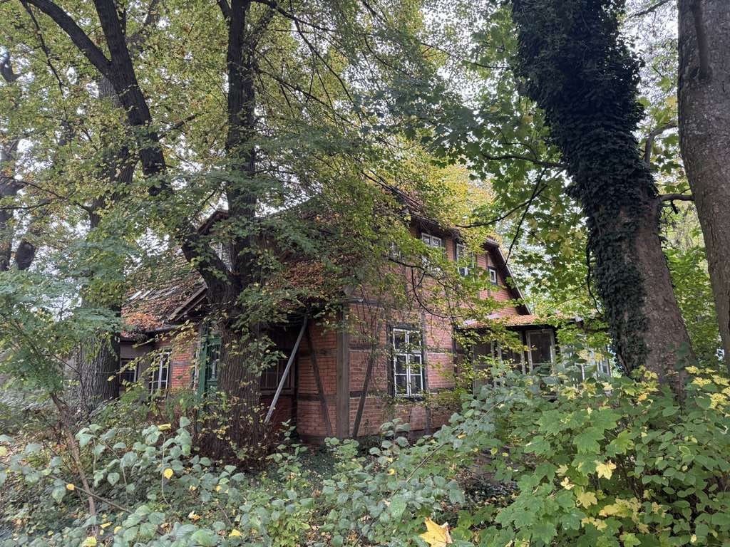 Immobilie in Lübtheen - Charmantes Fachwerkhaus im Grünen - Bild 1