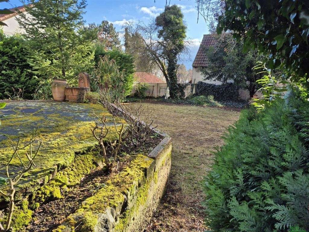 Immobilie in Bad Dürkheim - Freistehendes Wohnhaus mit Garten für Sanierer - Bild 3