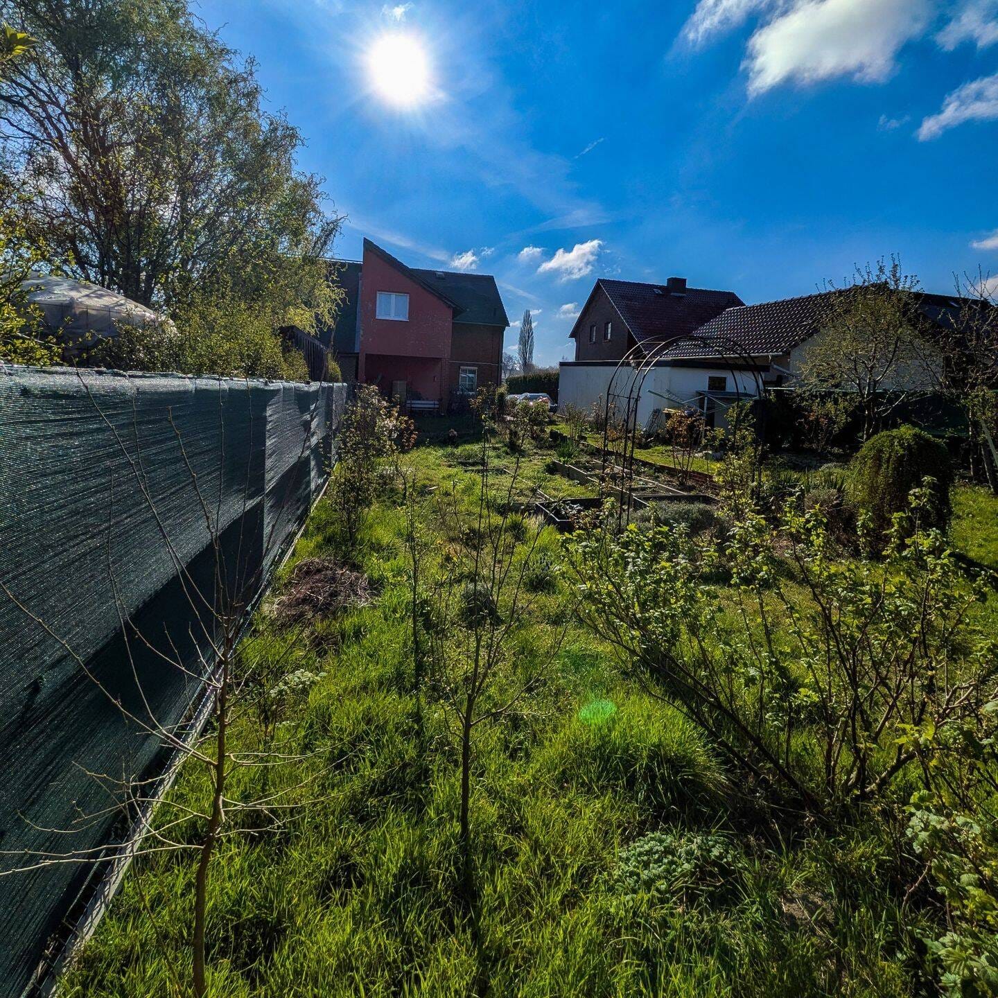 Immobilie in Hochkirch - Bukecy - Ihr neues Zuhause - Familienglück mit Garten im Grünen - Bild 1