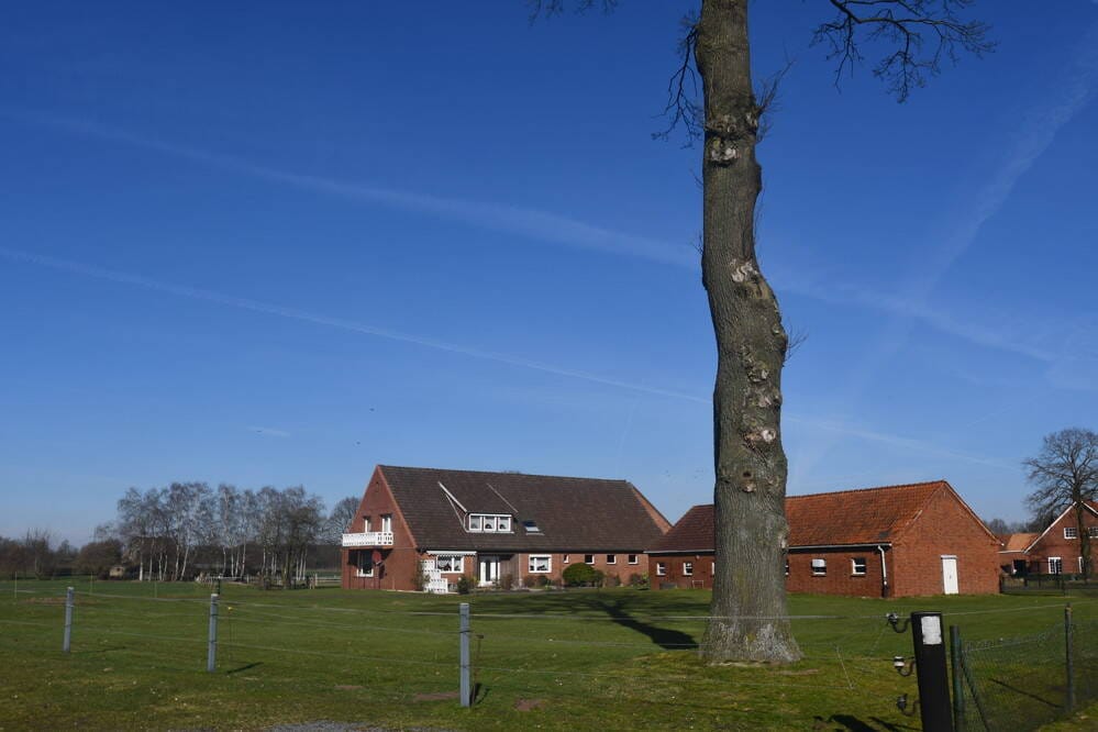 Immobilie in Barnstorf - Solider, gepflegte Resthof mit Nebengebäude und Halle ideal für Pferdehaltung - Bild 1