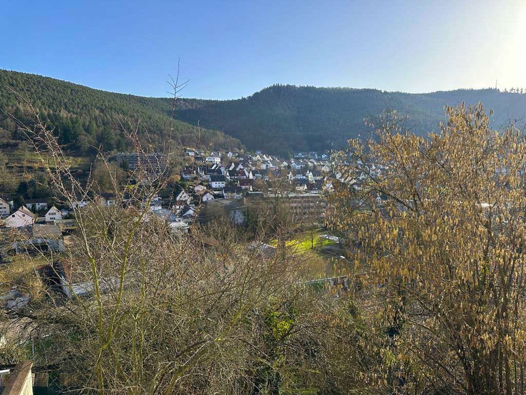 Immobilie in Lambrecht - Kleines Häuschen auf großem sonnigen Hanggrundstück mit Süd- 
ausrichtung und Fernblick - Bild 4