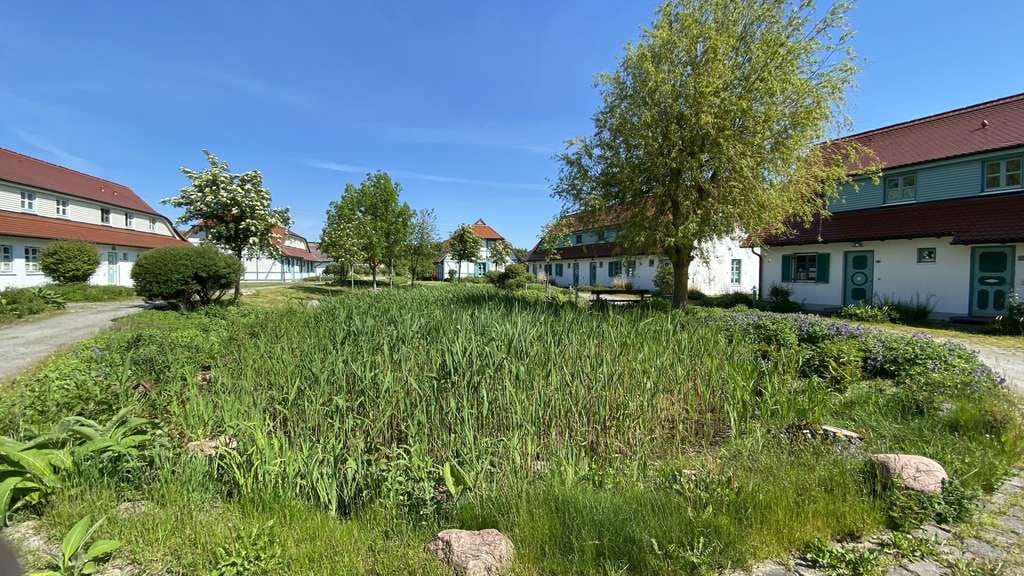Immobilie in Dranske - 5 Ferienwohnungen - 1 Haus - 10 Gehminuten vom Strand - Bild 4