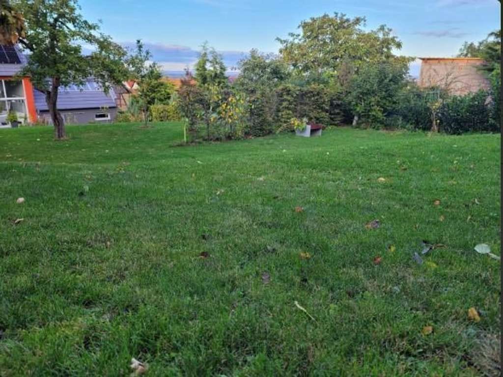 Immobilie in Elxleben - Schick und gradlinig – die perfekte Form zum stadtnahen Wohnen in Witterda - Bild 1