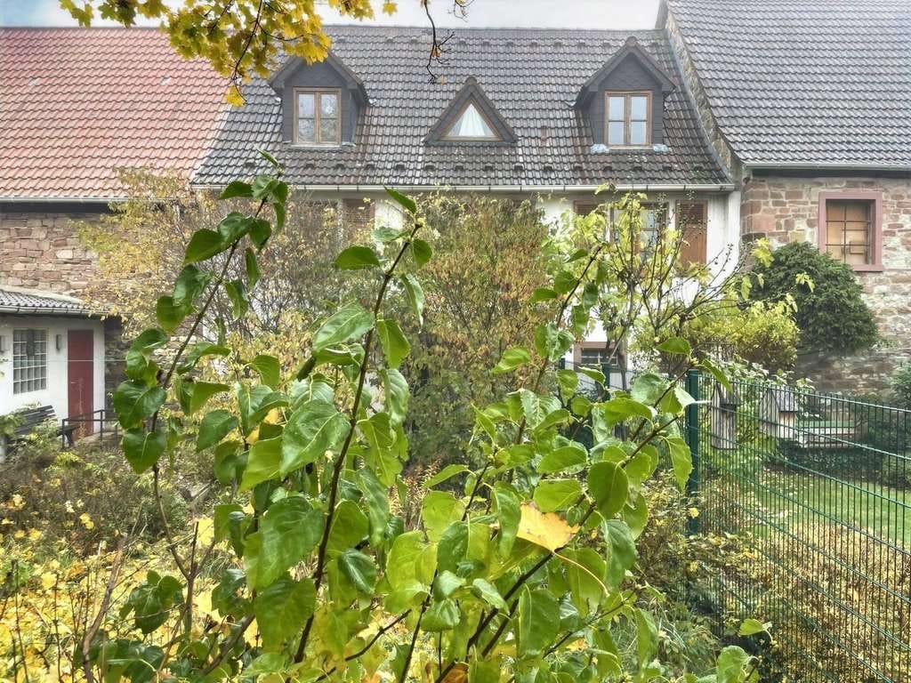 Immobilie in Heuchelheim bei Frankenthal - Ihr Lebenstraum? Großzügiges Anwesen mit Potential - Bild 1