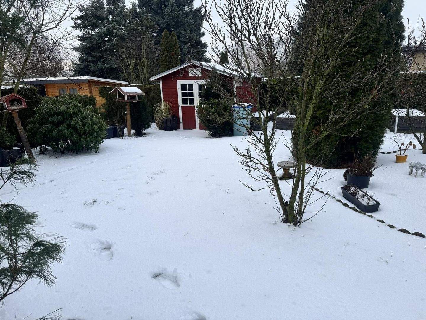 Immobilie in Belgern-Schildau - Schickes Wochenendgrundstück in Schildau-Neumühle zu verkaufen - ganzjährig nutzbar - Bild 4