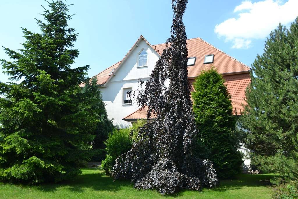 Immobilie in Bad Bibra - Eine Dachgeschoß-Eigentumswohnung mit 2 Stellplätzen und Gartenfläche in ruhiger ländlich idyllischer Lage vom Finneland für Eigennutzer oder Kapitalanleger - Bild 4
