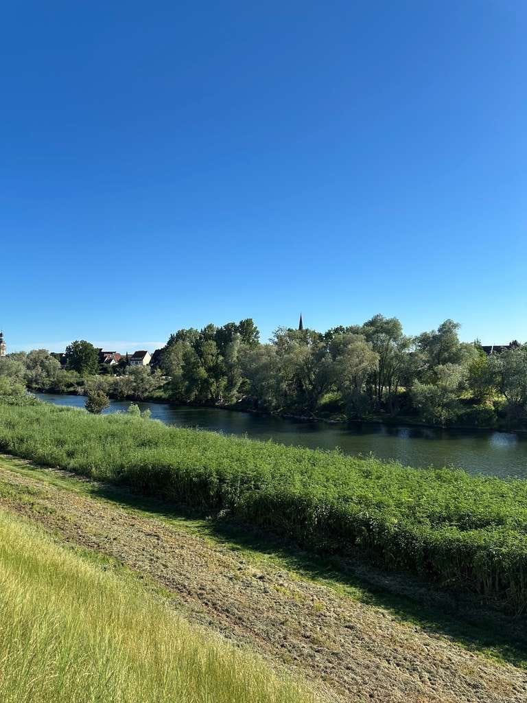 Immobilie in Ilvesheim - Direkt am Neckar! Haus mit 2-3 Wohneinheiten auf der "Insel" und viel Platz für Ihre Ideen - Bild 3