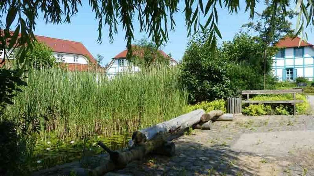 Immobilie in Dranske - 5 Ferienwohnungen - 1 Haus - 10 Gehminuten vom Strand - Bild 3