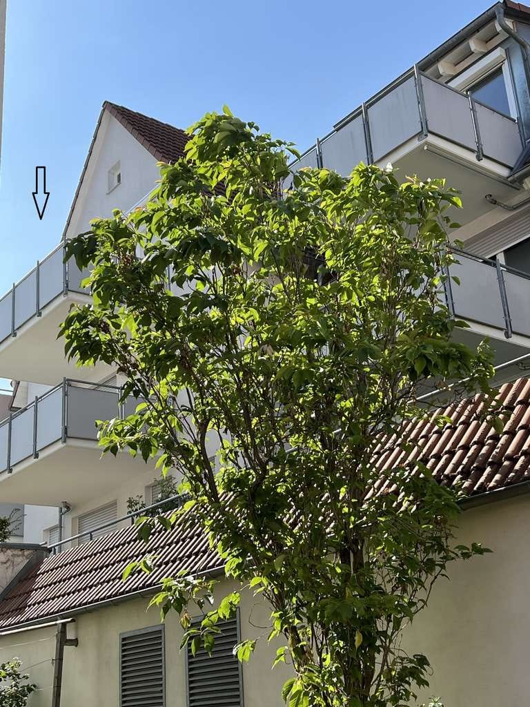 Immobilie in Ehningen - Großzügige, helle 3,5-Zi.-Maisonette-Whg. mit 2 Balkonen und EBK mit tollem Blick auf die Würm - Bild 3