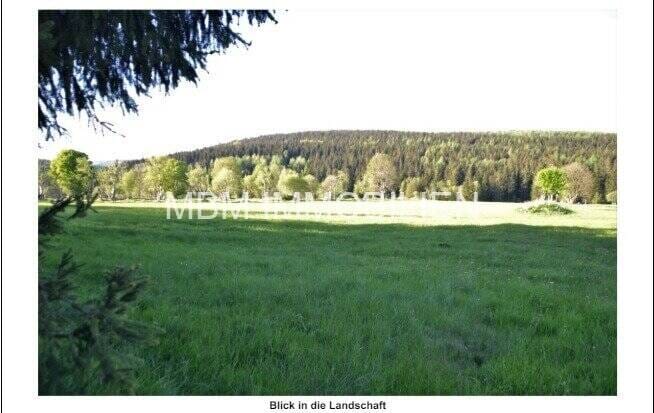 Immobilie in Altenberg - Wer die Ruhe liebt, ist hier genau richtig - Wunderschönes Grundstück mit unverbaubarem Blick in Altenberg - Bild 2