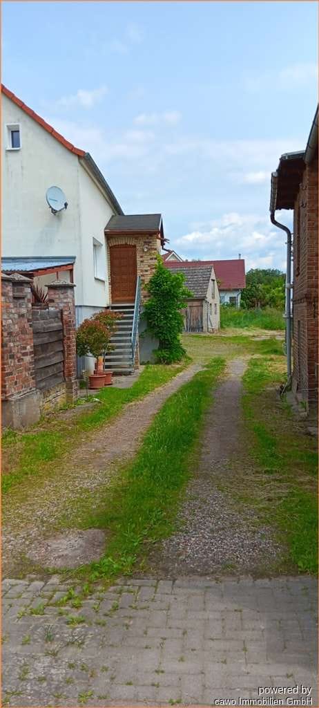 Immobilie in Oderberg - Ehmalige Gärtnerei mit Wohnhaus, Gewächshaus, Nebengelassen auf 3.500 m² Land - Bild 5