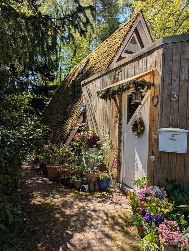 Immobilie in Rheinböllen - Holzhaus mit uneinsehbarem Garten, Sauna und großem Teich in Rheinböllen-Waldsiedlung - Bild 1