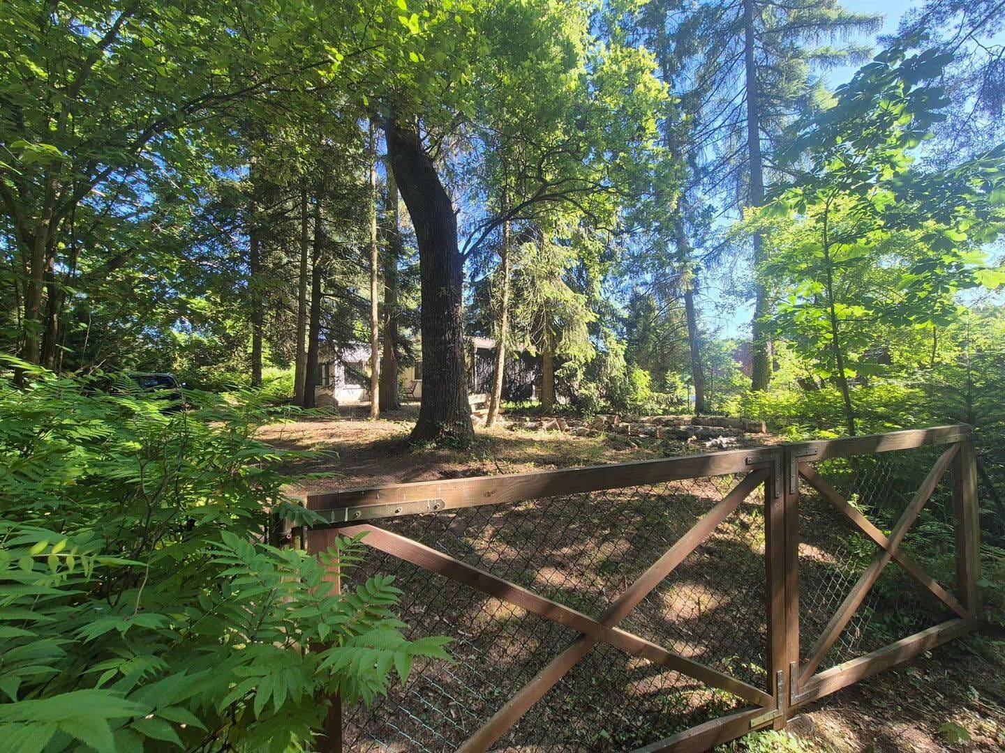 Immobilie in Coswig (Anhalt) - Ferienbungalow mit ganzjähriger  Nutzungsmöglichkeit - Bild 2