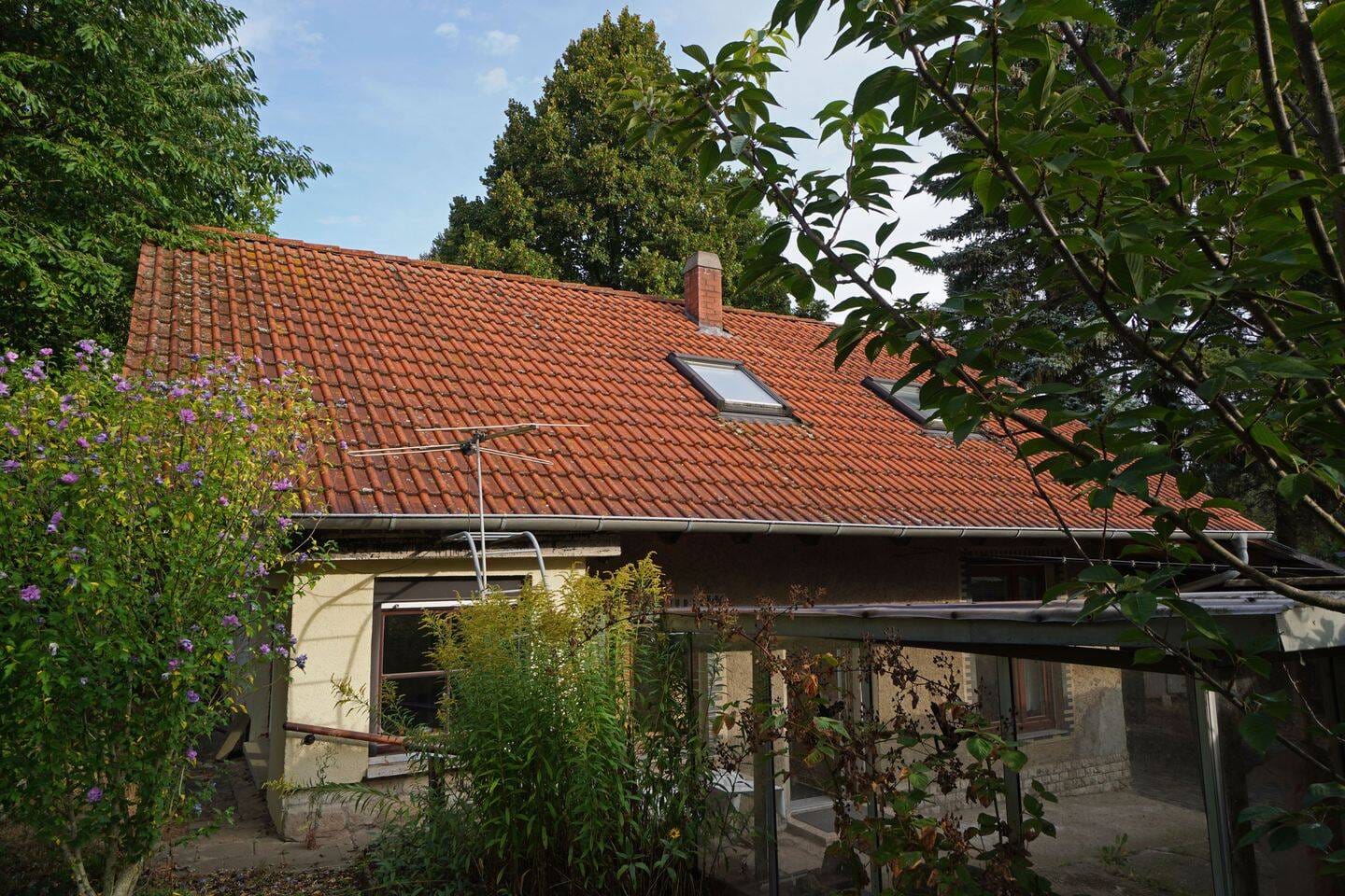 Immobilie in Bad Berka - Rarität: 2 Einfamilienhäuser - ideal für Mehrgenerationen oder befreundete Familien - Bild 2