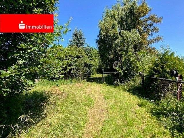 Immobilie in Dachwig - Großzügiges Grundstück in ruhiger Lage - Bild 4